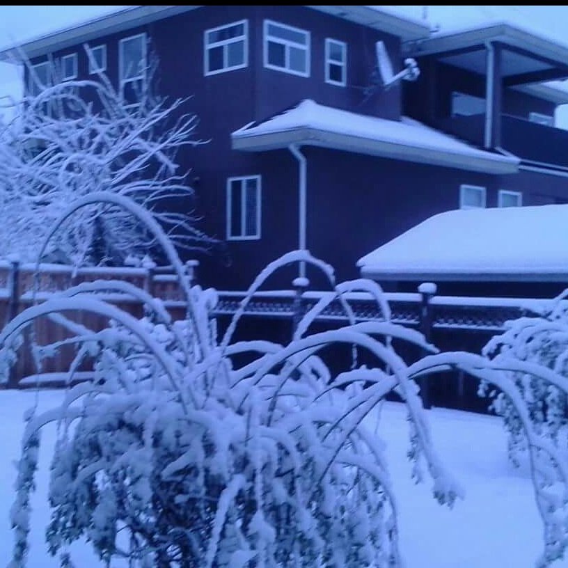 Raj Rakhra (@raj_rakhra) on Twitter photo 