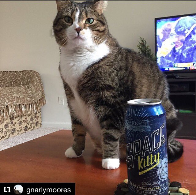 Beer Cats Beercat Signing Up For The Space Race With Rohrbachs Space Kitty Citra Dipa To More Hops And Beyond