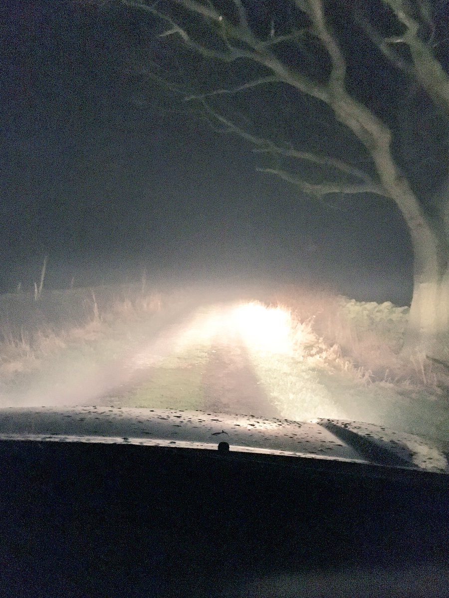 YorkshireClerk's tweet image. Not such a good commute home! I turned round
#chicken #fog #satnavfail #TomTom