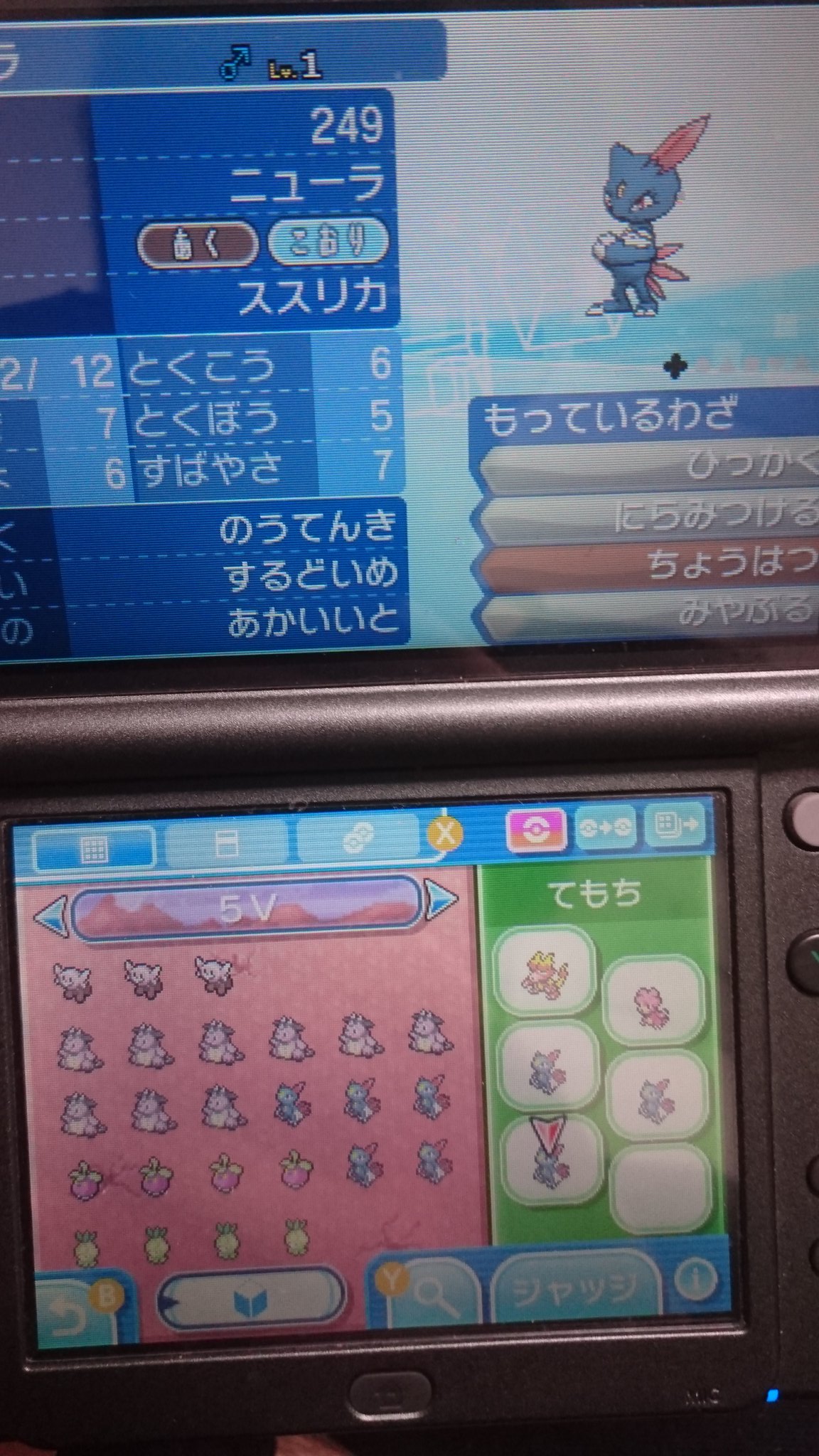 ススリカ ポケモンサンムーン در توییتر ふぅ ニューラの厳選は一先ずおわり ６vはboxに ５vいじっぱり たまご遺伝みやぶるニューラ を育成してゴーストタイプの連鎖も出来るマニューラの完成さぁ みやぶる持ちニューラ5vなら欲しい人いたら