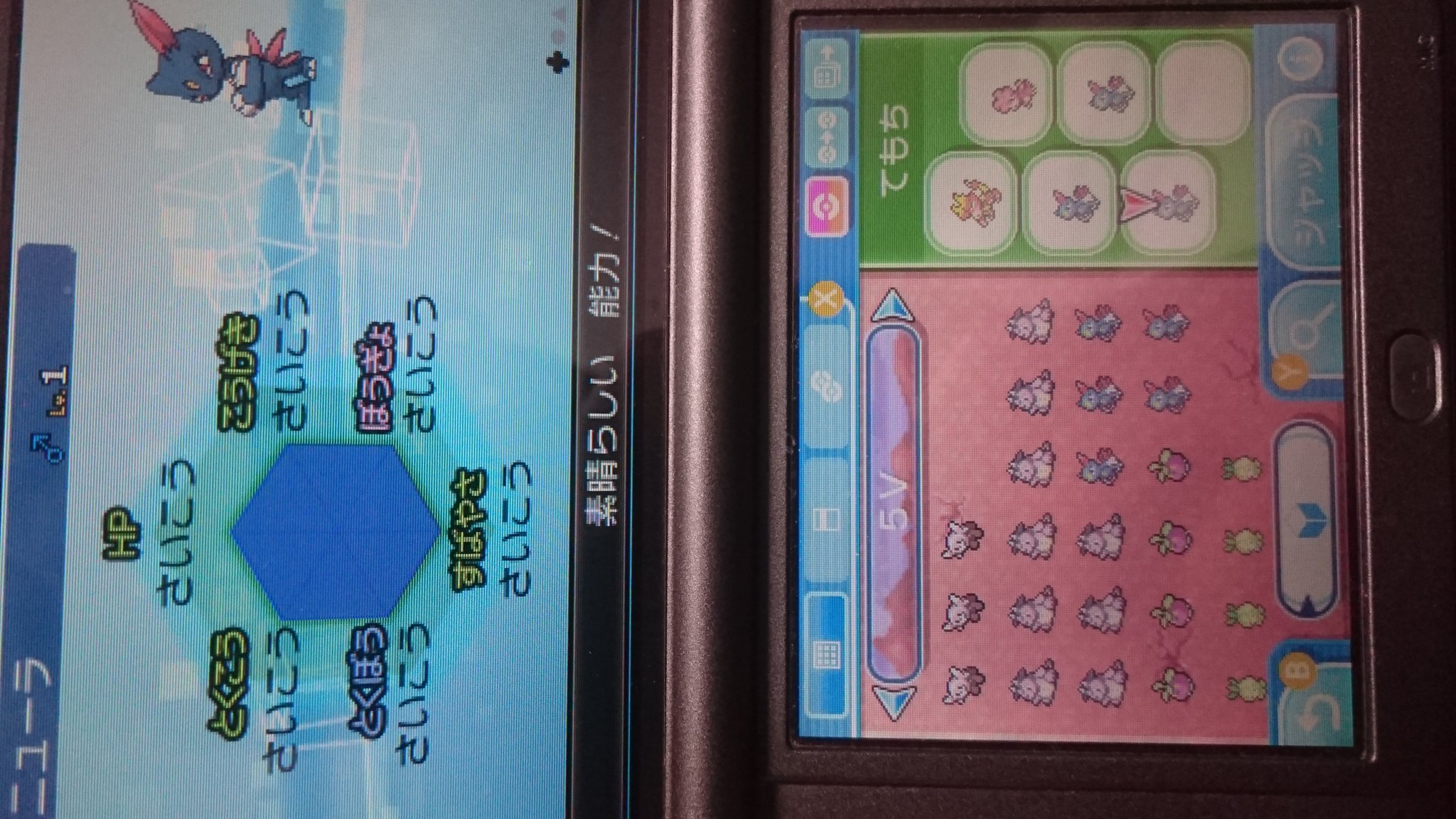 ススリカ ポケモンサンムーン در توییتر ふぅ ニューラの厳選は一先ずおわり ６vはboxに ５vいじっぱり たまご遺伝みやぶるニューラ を育成してゴーストタイプの連鎖も出来るマニューラの完成さぁ みやぶる持ちニューラ5vなら欲しい人いたらあげる ボールはヒール