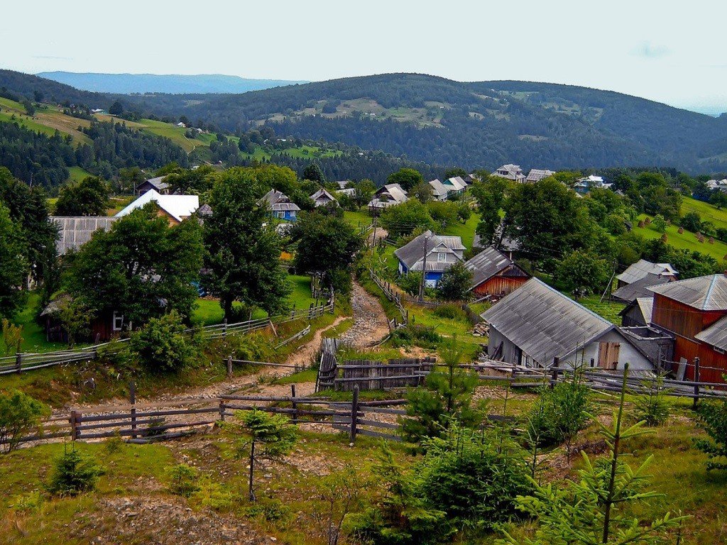 NonGMOProject's tweet image. Ukraine, the world's third-largest grain exporter, plans to strengthen checks for illegally cultivated #GMOs. goo.gl/N9rTPK