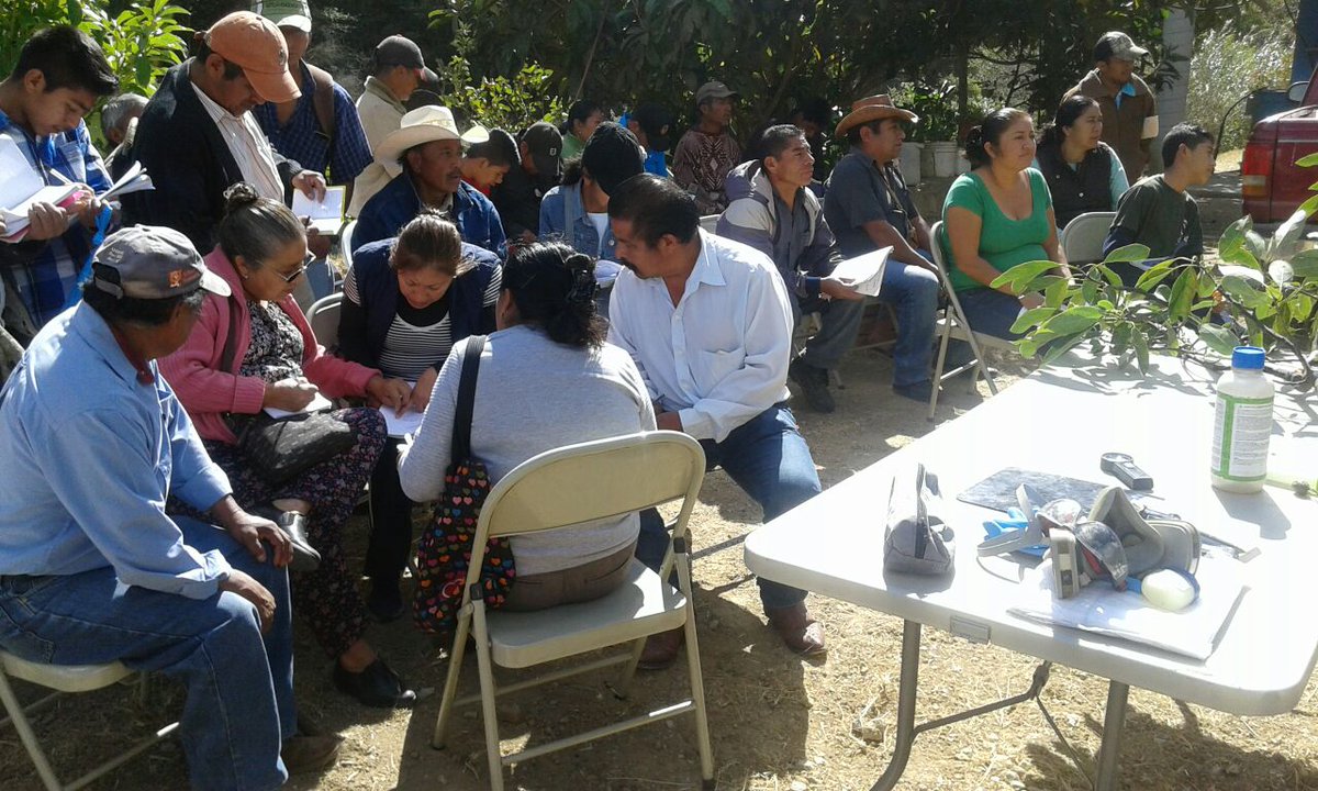 IcafseS's tweet photo. ADRS Región @adrsregionloxic  En el Taller sobre cultivo de aguacate gracias por la invitación. https://t.co/2AVwM2NwRW