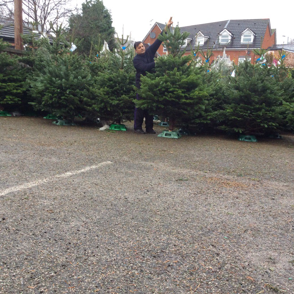 We guarantee our trees to look as good the day you throw them away as they did the day bought them