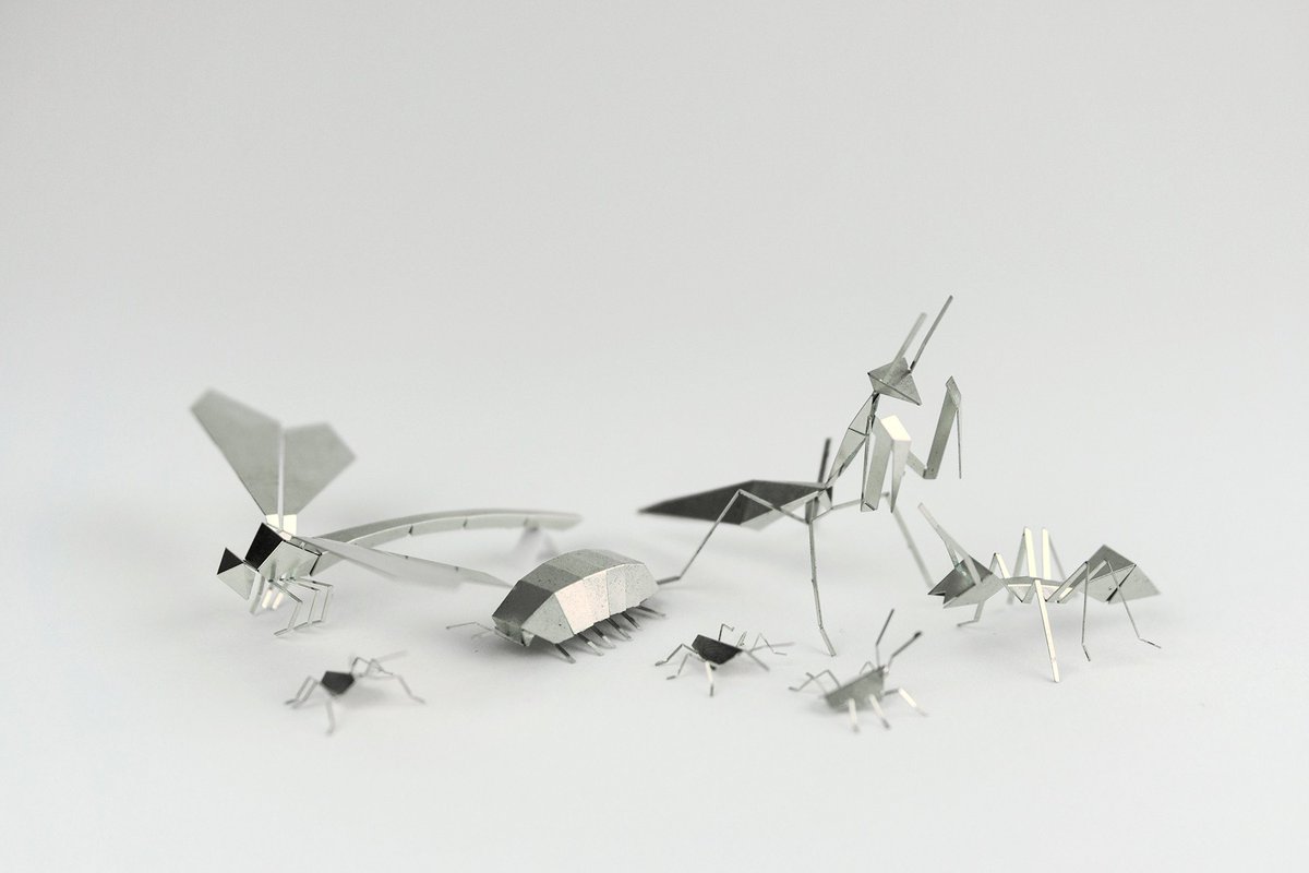 The Poligon Insect Family! Now on our e-shop. #insects #metal #dyi #london #design Fold and bring to life your stunning new metal creatures.
