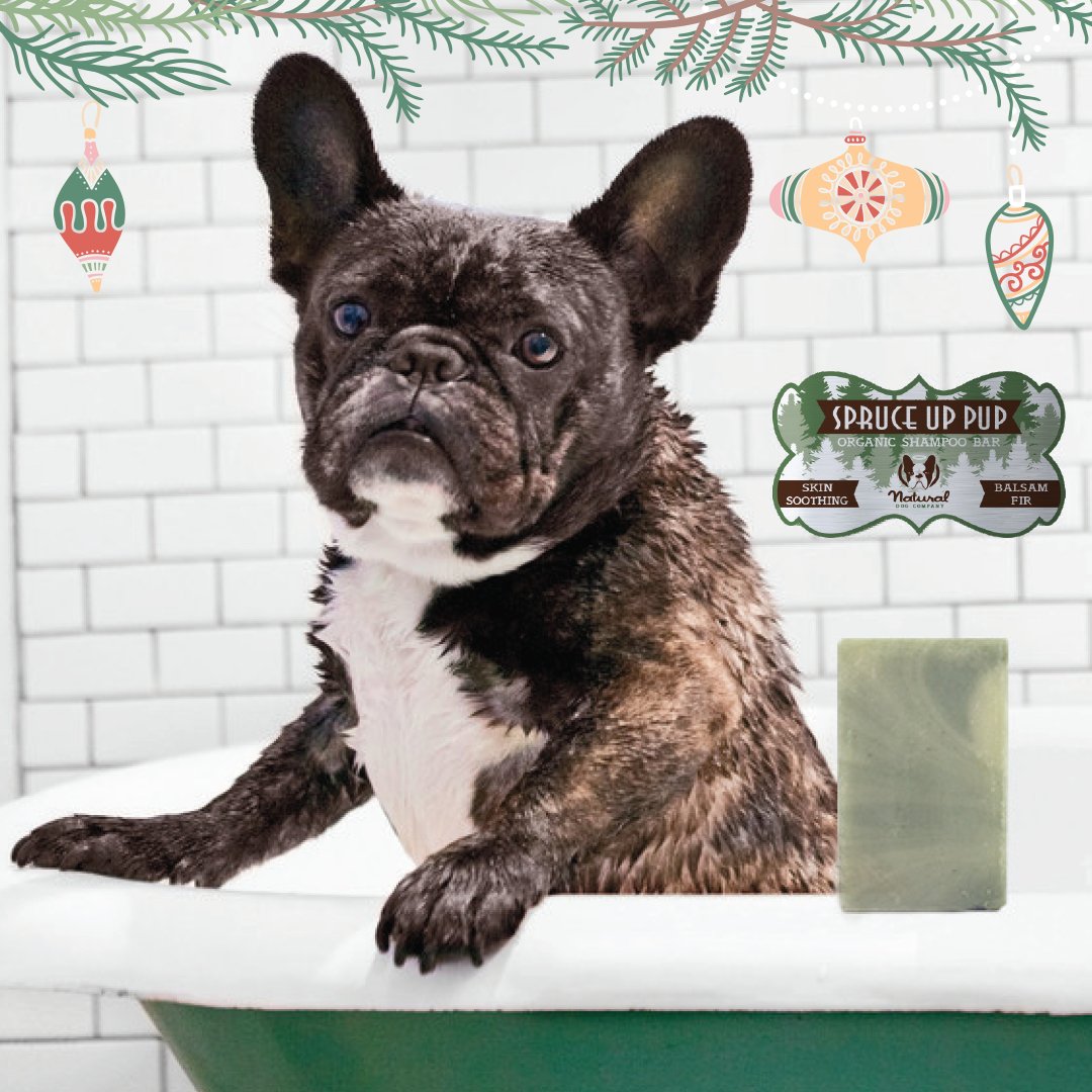 NaturalDogCo's tweet photo. Get howliday fresh w/ a FREE limited edition #SpruceUpPup Shampoo Bar 🎄with any 2oz gift-wrapped item code GIFTSOAP https://t.co/V4mtrl4kYF https://t.co/SlmnyxeAOZ