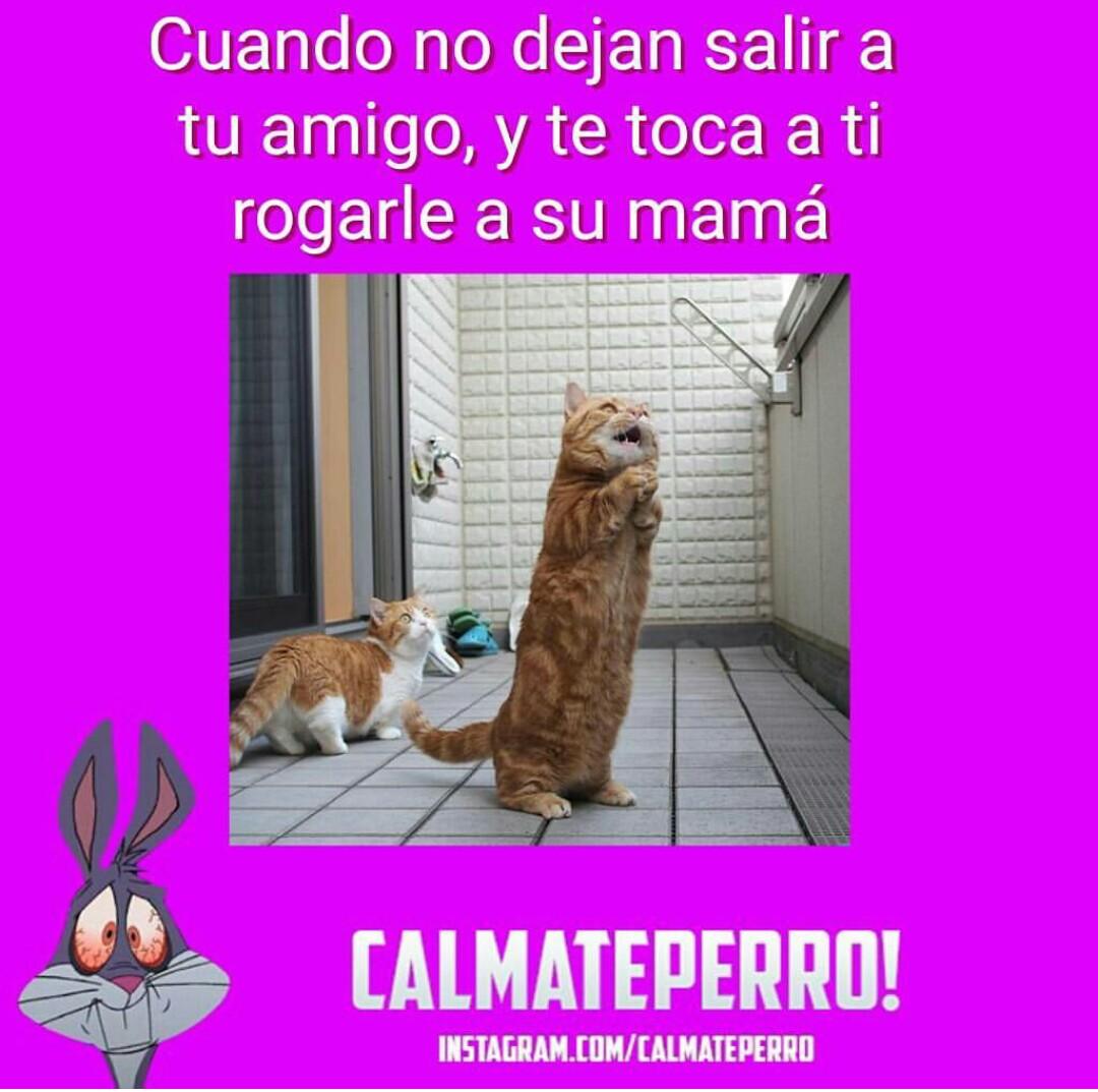 ElToroVino's tweet photo. Etiqueta a tu amigo/a https://t.co/bmixbd2giF