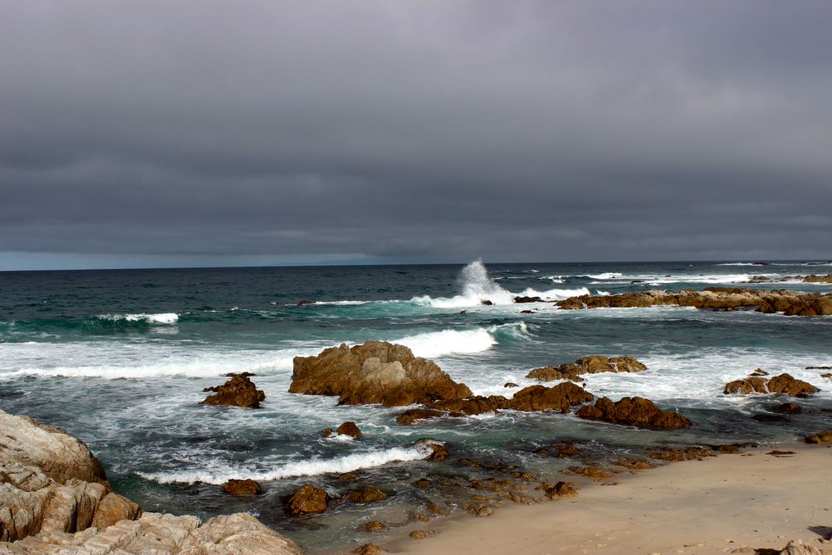 markowenmartin's tweet photo. Some photos of the lovely seashore at Asilomar #WCBP2016 https://t.co/T5AporioeA