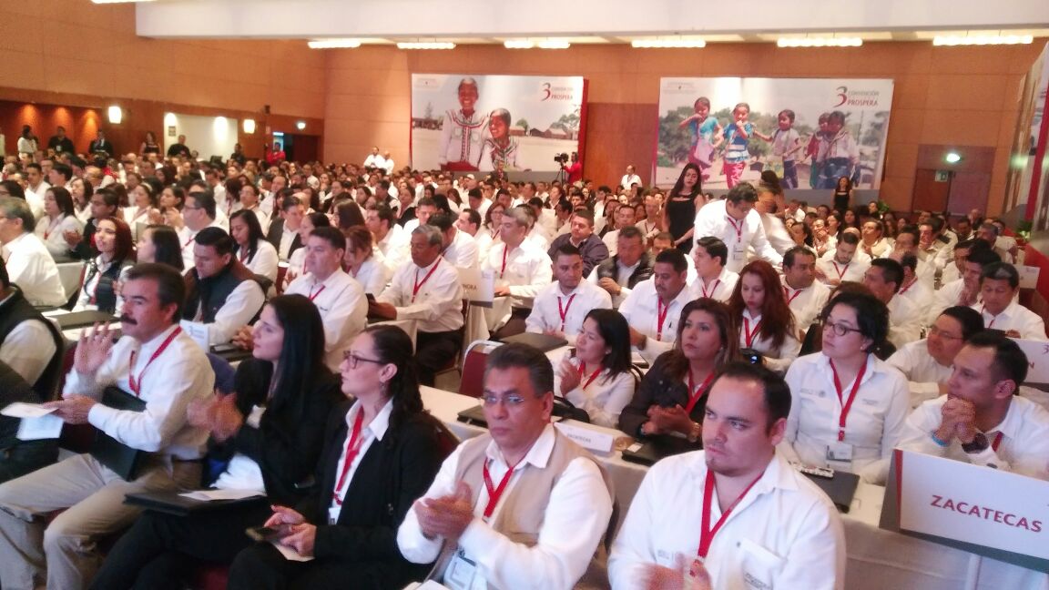 paula_hdz tweet picture