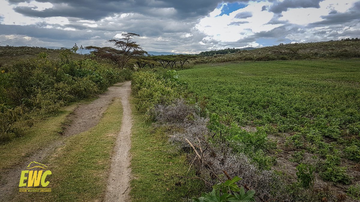 ExtremeKenya's tweet photo. Happy Jamhuri Day! The Naivasha Trail Run route is looking great! 

#Kenya #Africa #trailrun #run #outdoors #exercise #fitness #runforacause https://t.co/jiXffneIzY