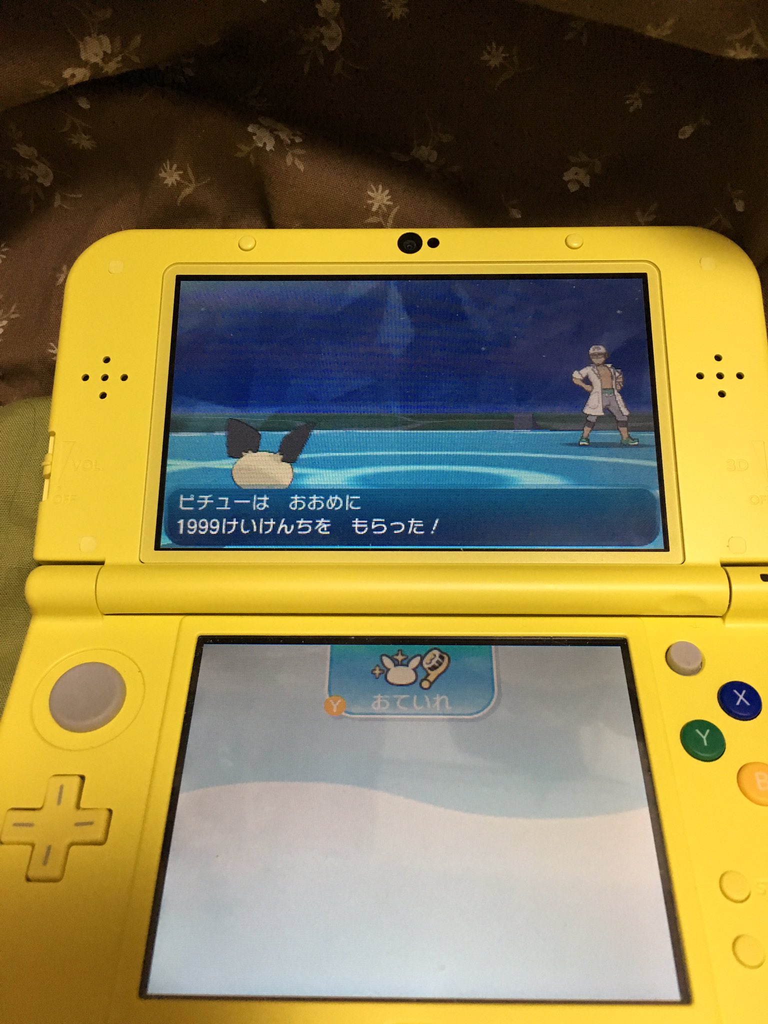 エイリス𓃠steammewks まあいるよね ポケモンサンムーン ピチュー単騎チャレンジ T Co Gd9hatlwnt Twitter
