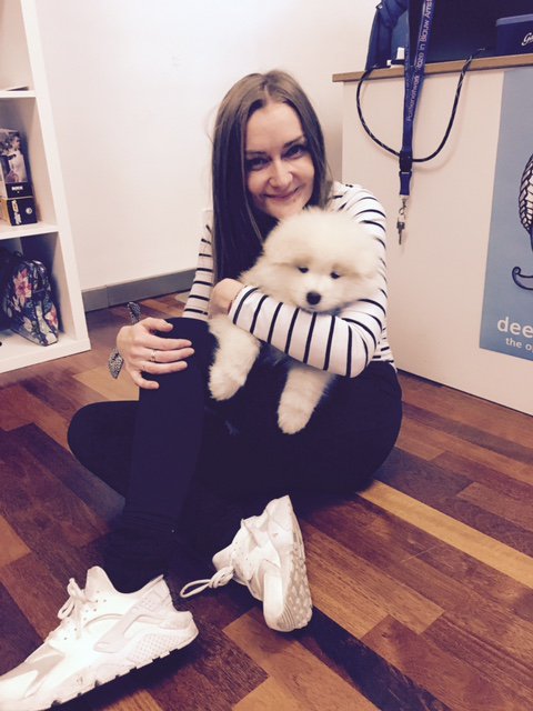 IndieGamerGirl's tweet image. new member of the team #deepstreamio #bff #puppy
