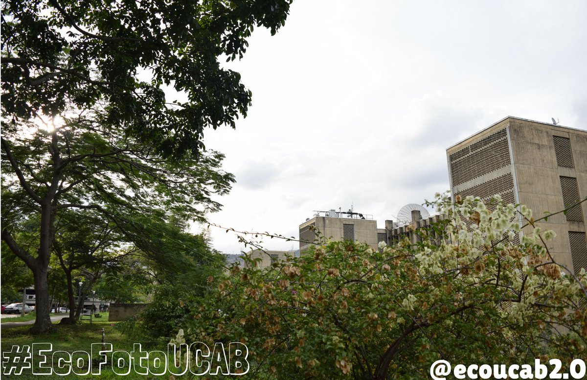 La #UCAB nos regala espacios de paz y tranquilidad. Aprécialos con el  concurso #EcoFotoUCAB