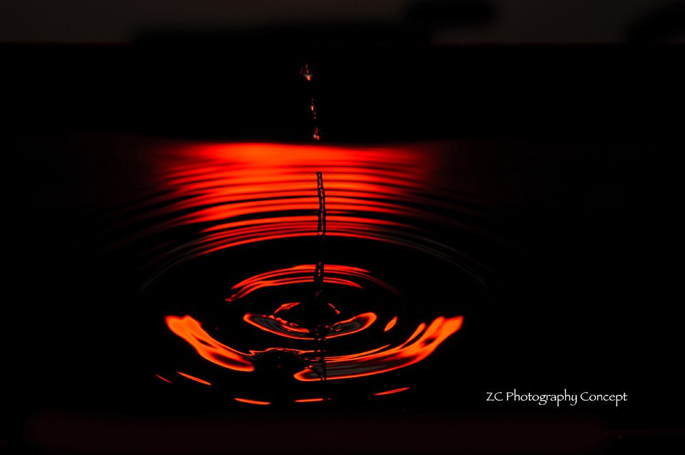 ZC Photography Con. tweet media
