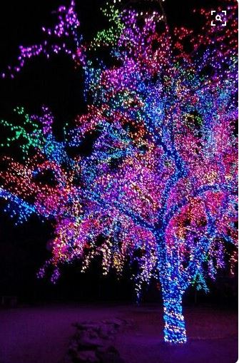 ThriftyTreeInc's tweet photo. Feeling Festive ? Here's a cool way to add some holiday spirit to your Outdoor trees
#HappyHolidays #DecorateATree  #Lights https://t.co/FpLyVAgjY1