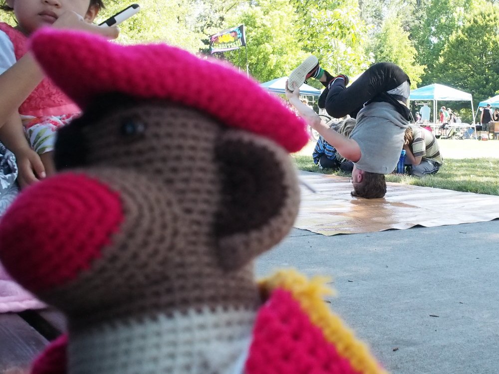 jororoasting's tweet photo. If holiday prep is making your head spin, pause and take a break; ideally with some fresh roasted coffee. #MonkeyMonday #EndlessSummer https://t.co/5ZLGhr1B6U