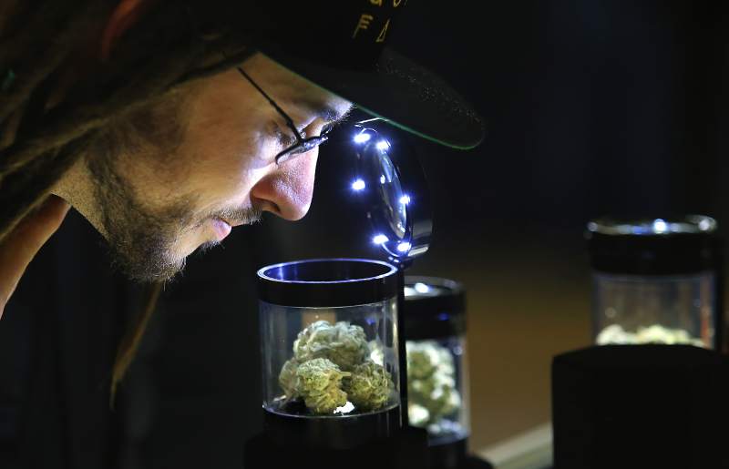 Emerald Cup marks new era in Santa Rosa as #marijuana consumers, industry gather ow.ly/QNA03072U2j