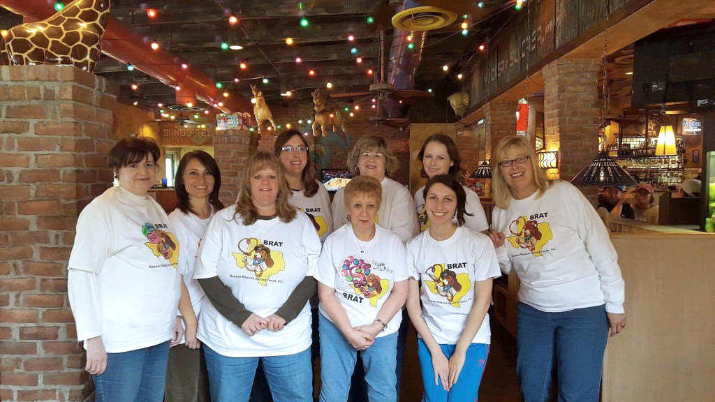 The BRATs and RescueGroups.org rescuegroups.org/the-brats-and-…