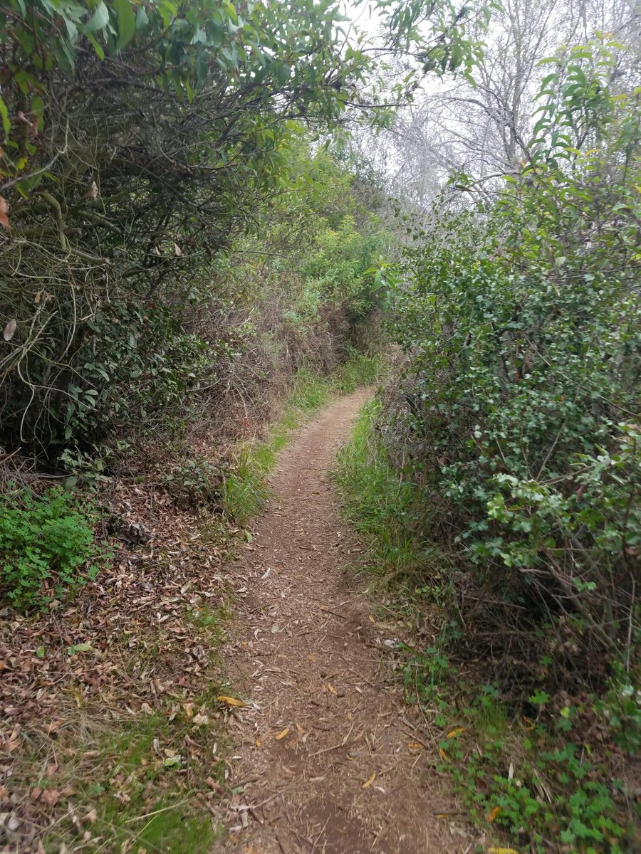 rbvtrees's tweet image. First hike of the year was an adventure, join us second semester for more fun!