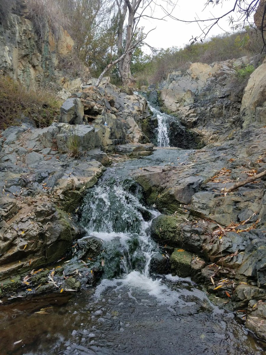 rbvtrees's tweet image. First hike of the year was an adventure, join us second semester for more fun!