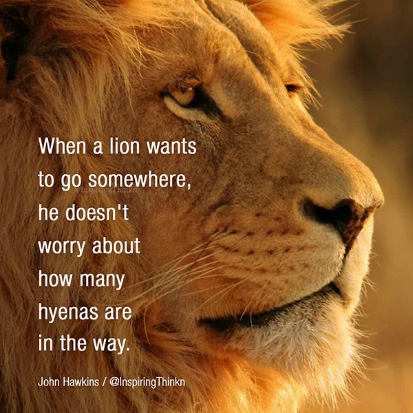 When a lion wants to go somewhere, he doesn't worry about how many hyenas are in the way. John Hawkins #leadership #inspiration