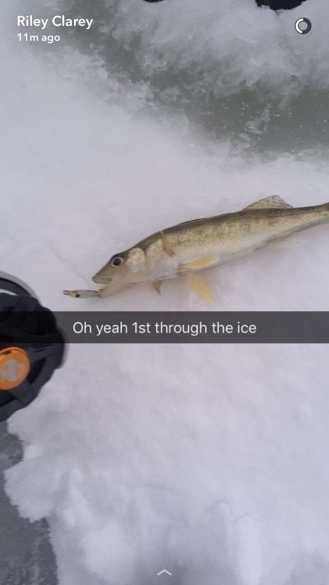 RealClamms's tweet image. Look at this whopper!! 3 inches of ice!! #goodice #icefishing #fishing #fun #outdoors #walleye #whopper #fish