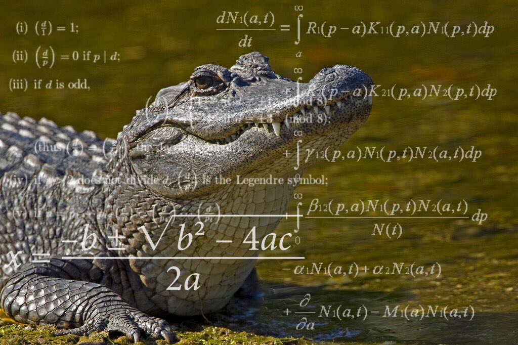 hankmoonbeam's tweet image. the whole catfish and the bottlemen fanbase right now after van mccann is accused of being a nonce