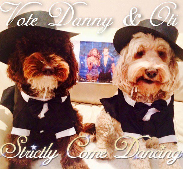 DotisDogs's tweet image. @dannymaconline &amp;amp; @OtiMabuse made the FINAL
Their last ever #STRICTLY Week!
Our final push for your SUPPORT
Can we get a RETWEET?
#TEAMDOTI