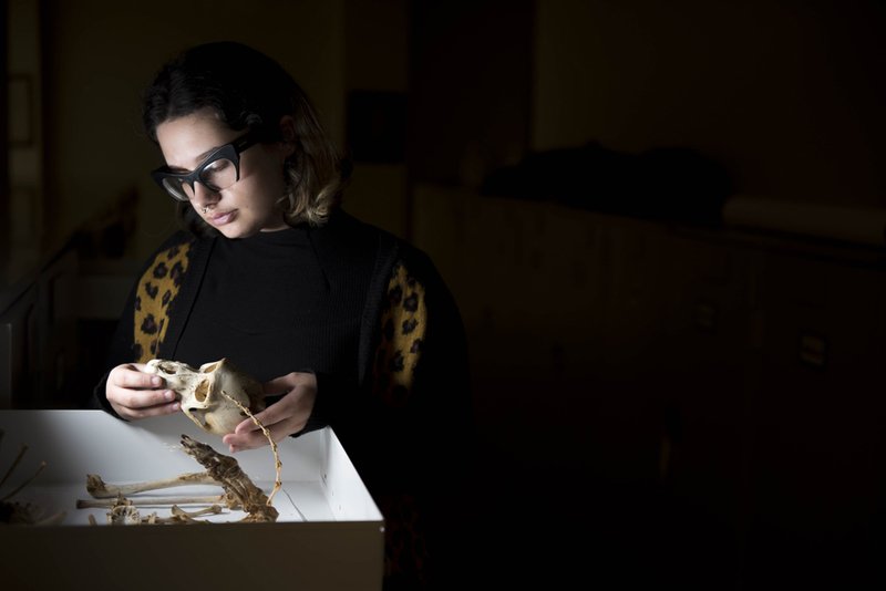 dailyorange's tweet photo. Bone to pick: Student works with 100-year-old samples from the Smithsonian https://t.co/uUfctLVn5g https://t.co/rInuJQS5Xj