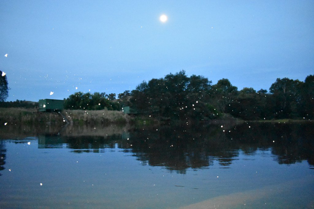 Streamtherapy's tweet image. Death to Neat Flyboxes streamtherapy.wordpress.com/2016/12/12/dea…