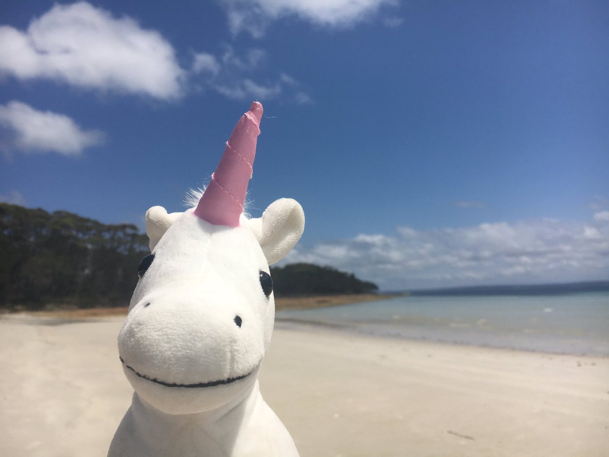 1angharad_rees's tweet photo. Life with No Filter! Oh my, I looove Jarvis Bay!! #newsouthwales #ttot #unicornlove https://t.co/l1zt5ACmPQ