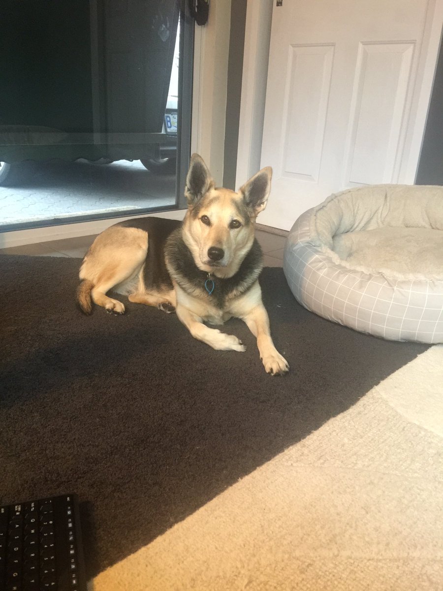 gkhdotcom's tweet image. This girl makes me smile