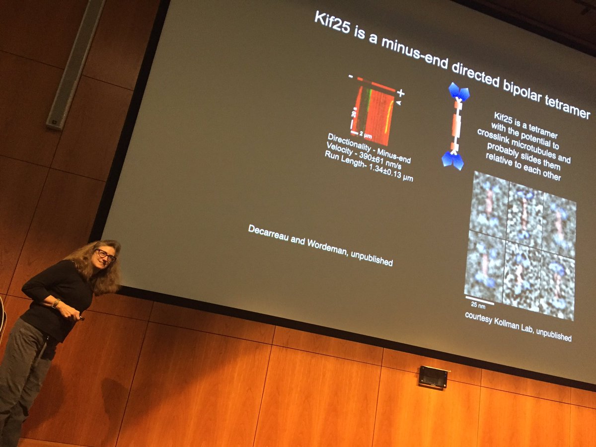 AllenInstitute's tweet photo. Linda Wordeman from @UWBiology giving a compelling talk on exploring centrosome separation during the cell cycle. #CellScienceSymposium https://t.co/NGDw229pJx