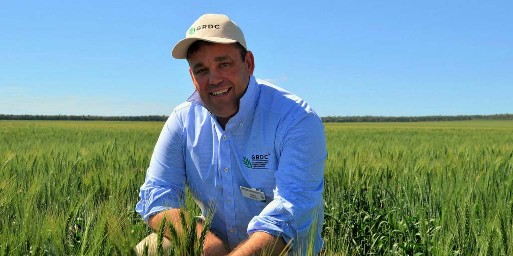 Storing or selling – think about the economics. <a href="/AjFadge/">Andrew McFadyen</a> with some key considerations bit.ly/2hcfuC7