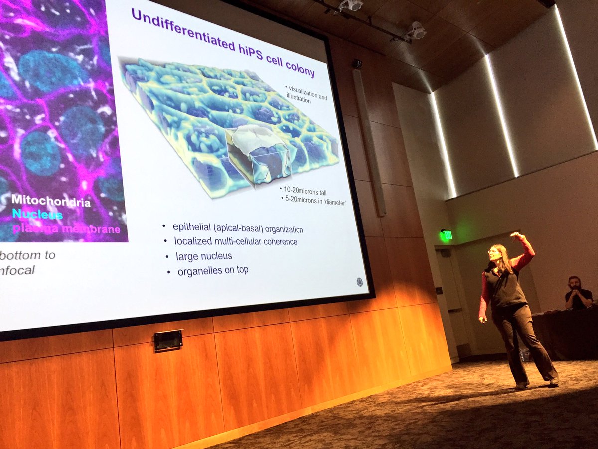 AllenInstitute's tweet photo. Our Susanne Rafelski talking about the biology of the #AllenCellCollection.
#CellScienceSymposium https://t.co/MQ9g2fGeTE