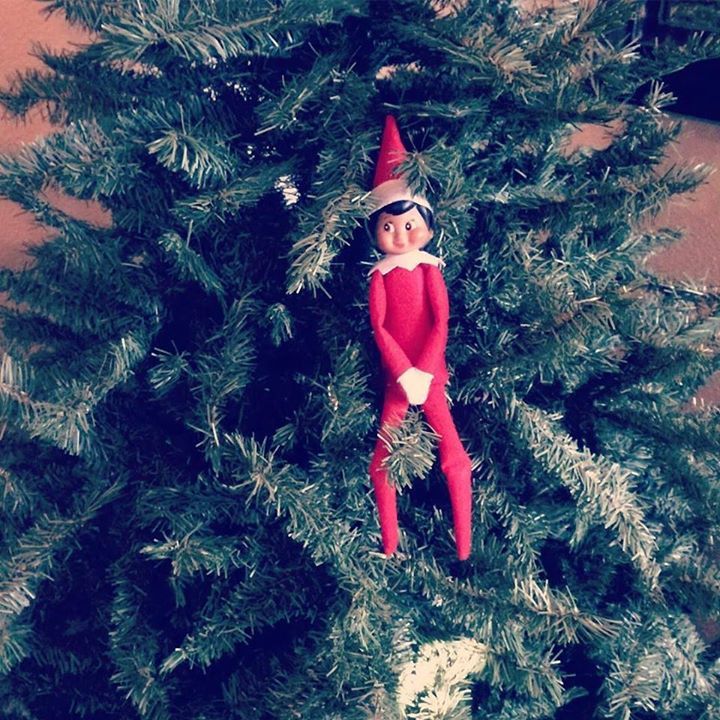 themanderleyec's tweet photo. Tree is up however the decorations are no where to be found! #elfontheshelf #themanderley #deckthehalls https://t.co/rqTxkIBKf6