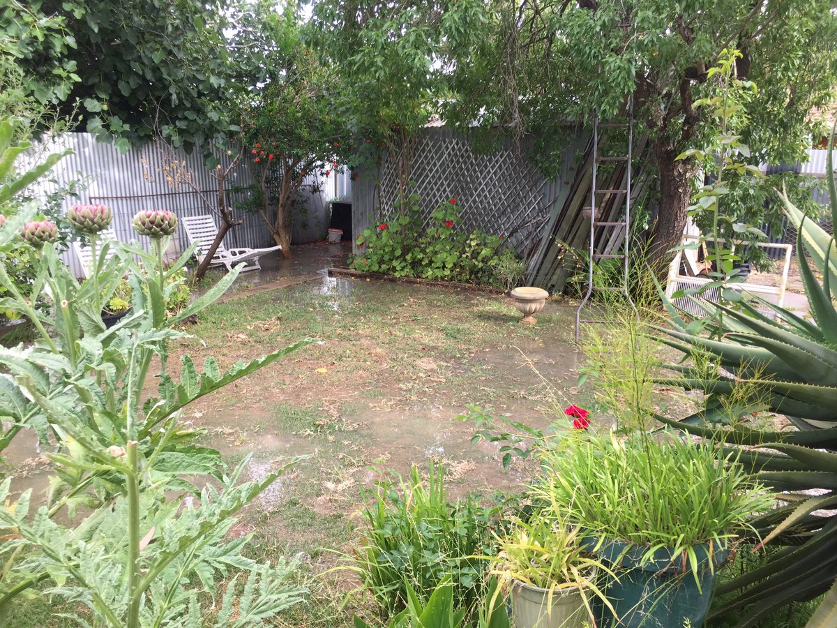 Mr Greg Leadbeater (greglead) Twitter