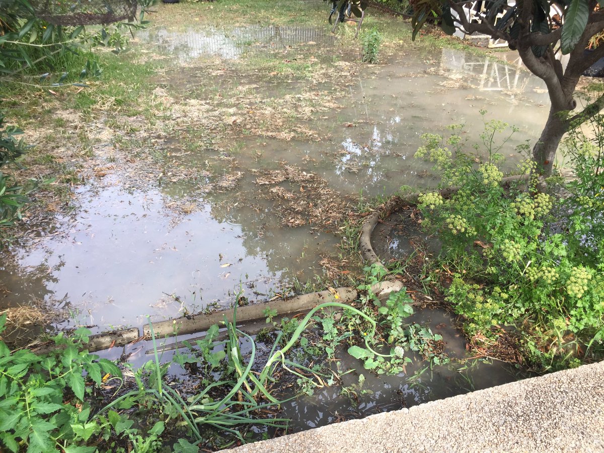 Mr Greg Leadbeater (greglead) Twitter