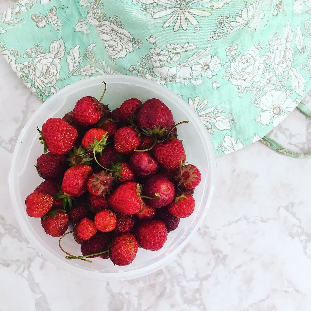 peafritters's tweet image. Another day, another strawberry bounty from our garden :-) yummmmmmmm #homegrown #kitcheng… ift.tt/2hnzoXL