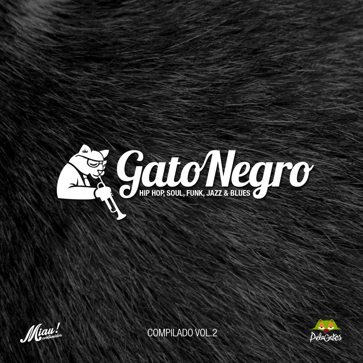 #Estreno Compilado #GatoNegroV2 Descargalo #GRATIS y conocé a artistas nacionales de #jazz #funk #soul #hiphop y + bit.ly/GatoNegroV2