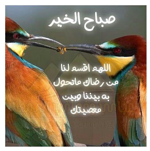 اللهم بك اصبحنا