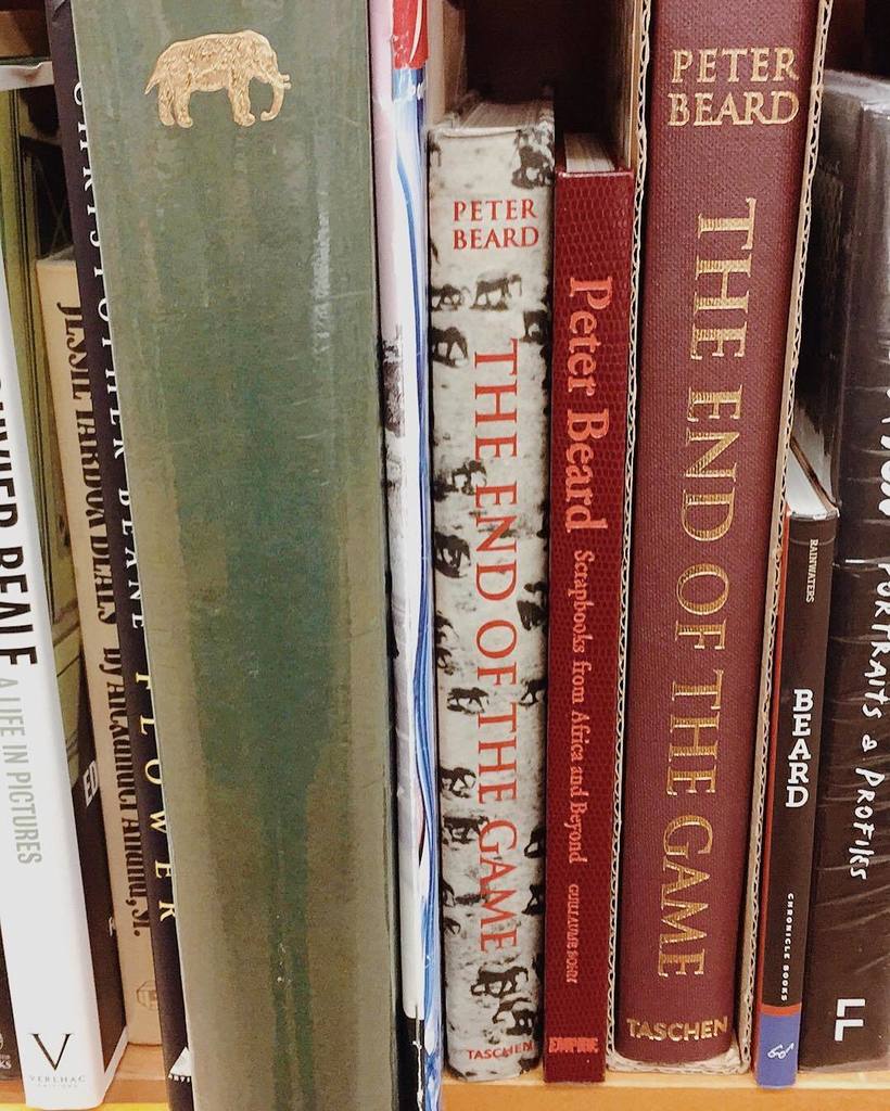 eve_devore's tweet photo. Oh... Can I please have every single one of them? ❤️🔥🐘🐅🐆🐪🐢
.
.
.
.
.
#peterbeard #strandb… https://t.co/CHlFFkuJ3V https://t.co/BQkLZIx8Is