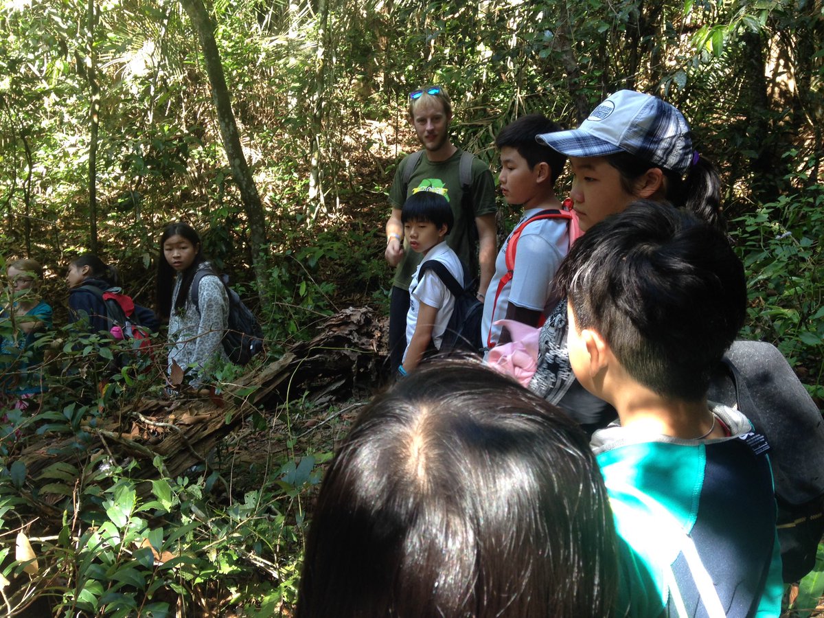 MsEmily_class's tweet photo. Explore the Kingdom: Khao Yai with 6th grade #classwithoutwalls #naturewalk https://t.co/9r99Wjxuo1