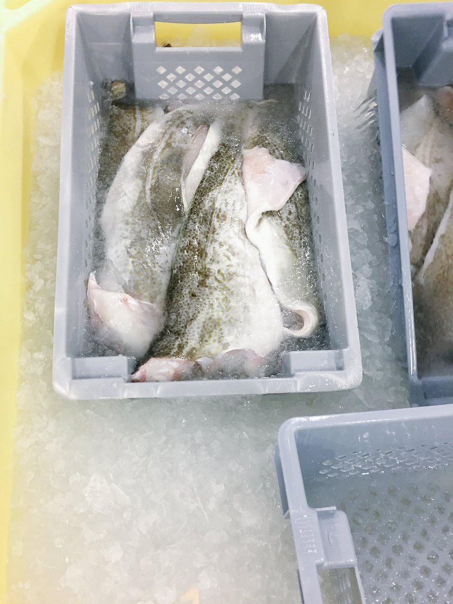 codlantic's tweet image. Temperature is 🔑with regard to quality and shelf life. Before being sent fresh to France, these haddock fillets are chilled to 0°C ❄️✈️🍽