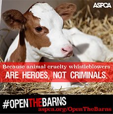dimalysenko3's tweet photo. Say no to #aggag laws in your state! Retweet https://t.co/mSL0Kag3WE