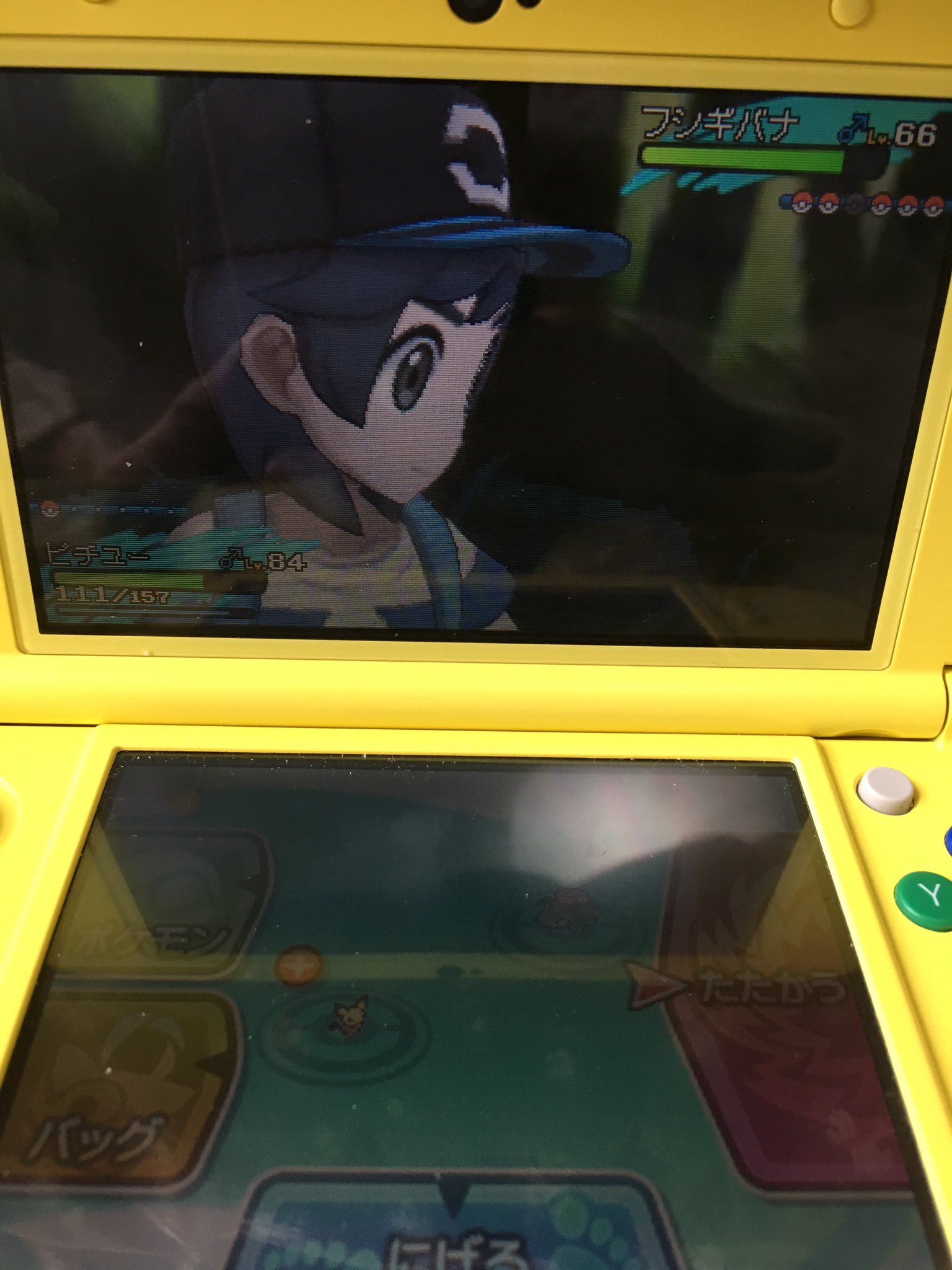 エイリス𓃠steammewks まあいるよね ポケモンサンムーン ピチュー単騎チャレンジ T Co Gd9hatlwnt Twitter