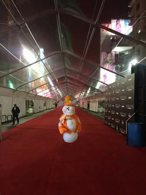 SnowinRI's tweet photo. Immediately following our chat here at quarter to the hour head on over to #fblive w/ @MelissaSChapman LIVE on the red carpet #HolidayHal https://t.co/e0fHxEPuZT