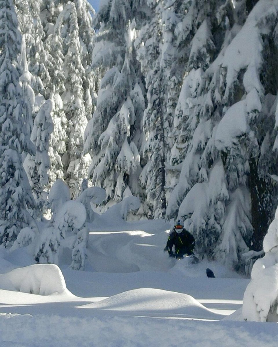 NWSledder tweet picture