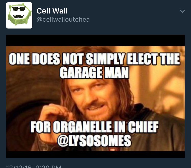GolgiRHS's tweet photo. @cellwalloutchea since when is a lysosome a garage? Nice try but your meme game is a disappointment to us all. #RHSOrganelleWars https://t.co/vgHV9CLXin