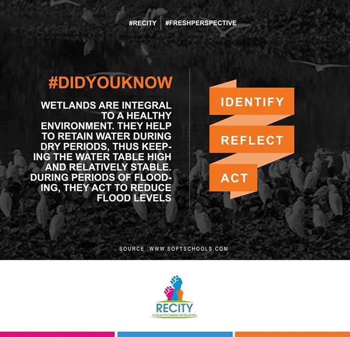 Know what wetlands are. Understand why they are important to the environment. #RECITY #Urbandevelopment #navimumbai #collectivechange